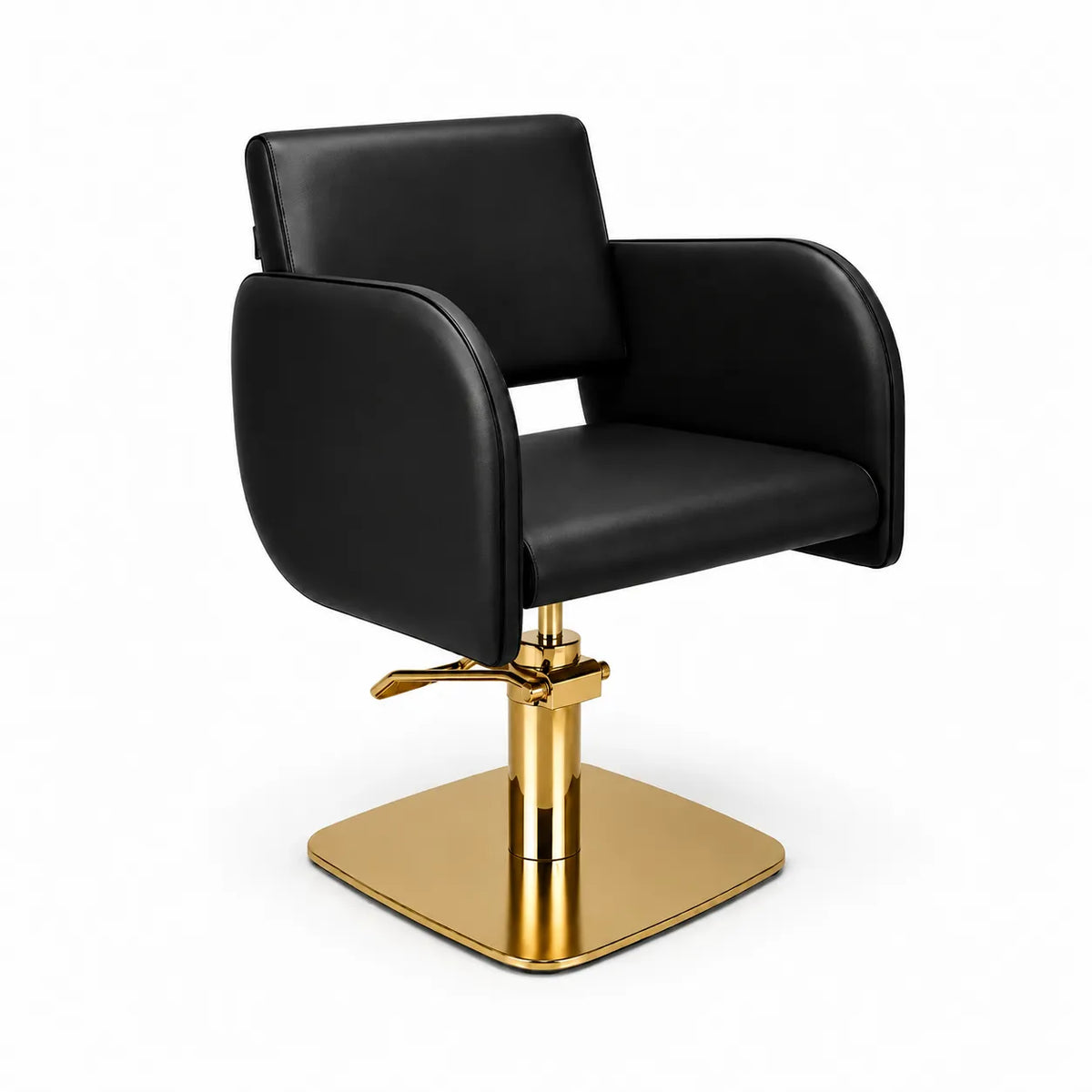 Salon Chair FR-88053-C6 | Gold Frame | Black (004)