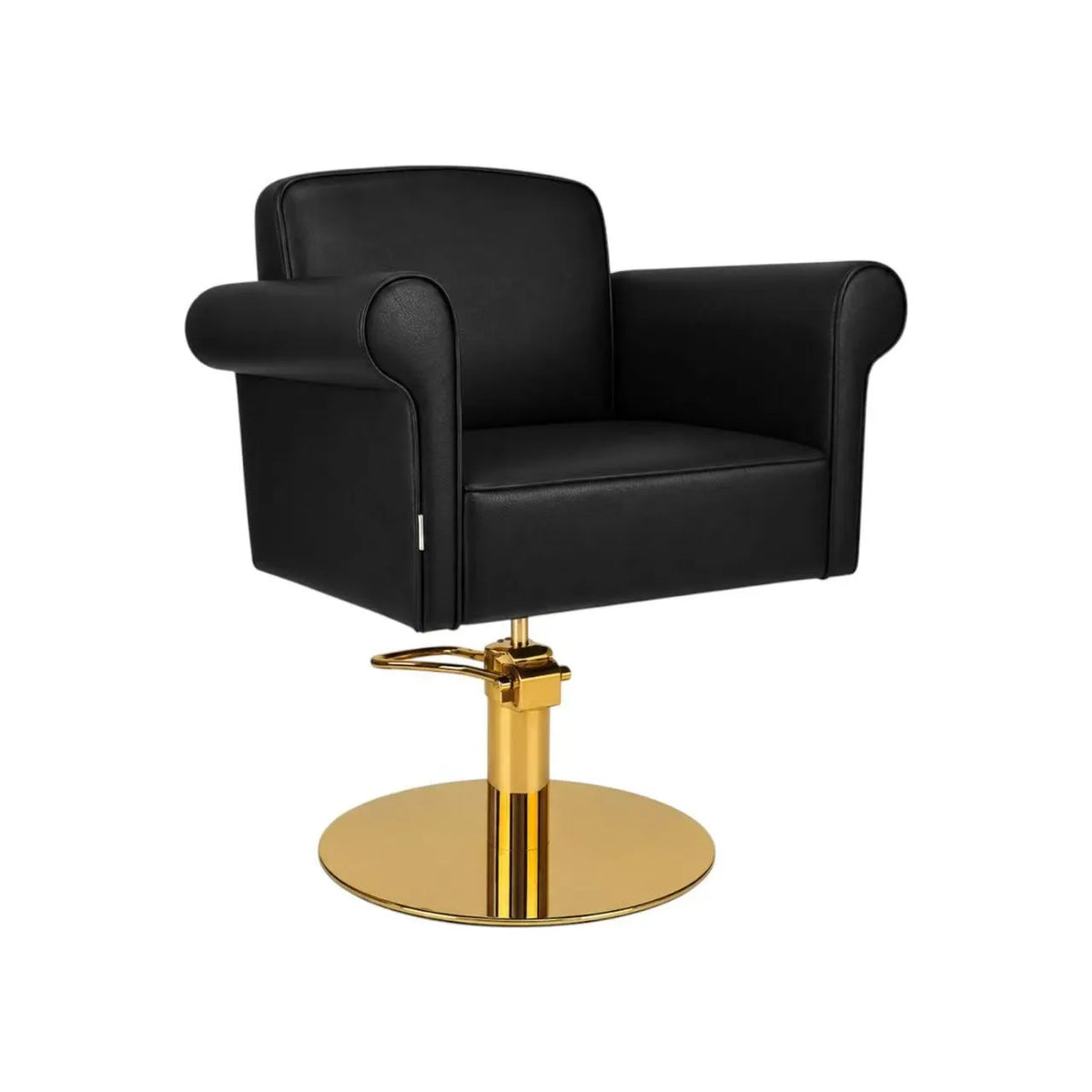 Salon Chair CZ-002BK-C6 | Gold Frame | Black (004)