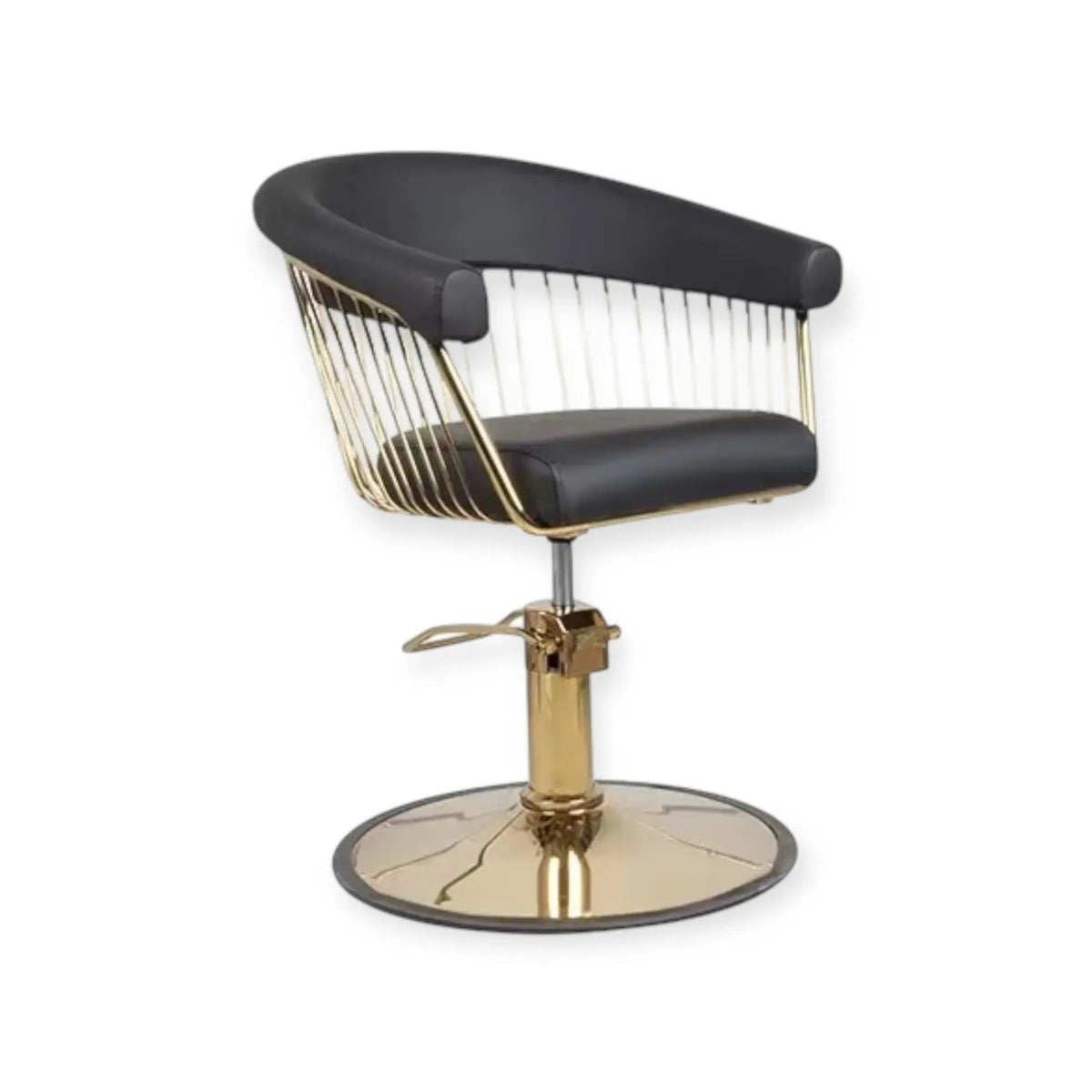 Salon Chair FR-88064-C6 | Gold Frame | Black (004)